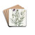 Milfoil-leaved Gilia by Sydenham Edwards Drink Coasters - set of 4
