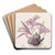 Wallich's Caelogyne by Sydenham Edwards Art Drink Coaster set Wallich's Caelogyne by Sydenham Edwards Art Drink Coaster set