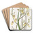 Chive-leaved Oncidium by Sydenham Edwards Art Drink Coaster set
