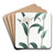 Long-horned Dendrobium by Sydenham Edwards Art Drink Coaster set