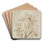 Assumption of the Virgin by Domenico Piola Art Drink Coaster set