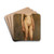 Nude Female Model by Pekka Halonen Drink Coasters - set of 4