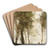 La lisire du bois by Jean-Baptiste-Camille Corot Art Drink Coaster set