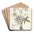 Design for Panel Decoration Centered on a Passion Flower by J. Hulme Art Drink Coaster set