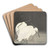 Two egrets in the reeds by Ohara Koson Art Drink Coaster set