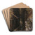 The Boulder and the Flume by Ralph Albert Blakelock Art Drink Coaster set The Boulder and the Flume by Ralph Albert Blakelock Art Drink Coaster set