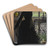 An Elegant Lady by Vittorio Matteo Corcos Art Drink Coaster set An Elegant Lady by Vittorio Matteo Corcos Art Drink Coaster set