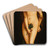 Eve by Hans Baldung Art Drink Coaster set