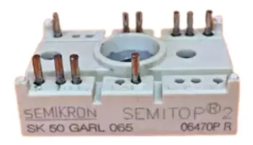 SK50GARL065F | Module