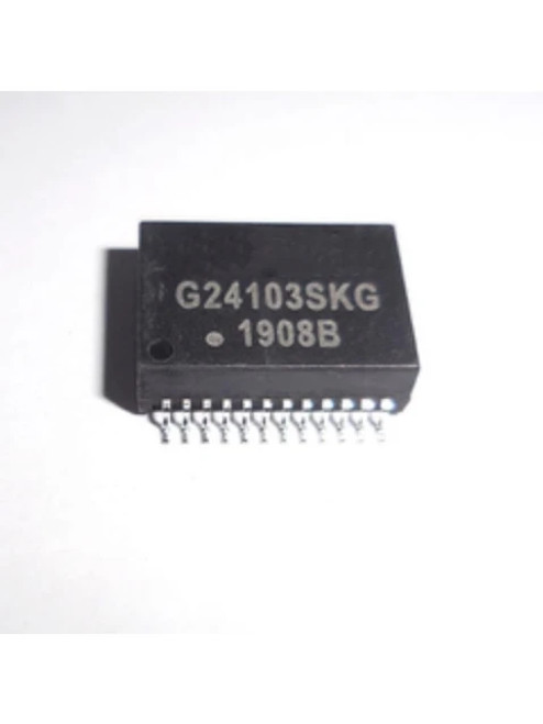 G24103SKG ; SMD-24