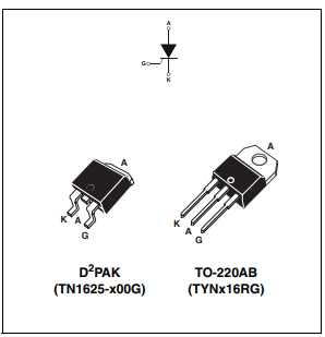 TYN616