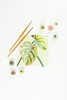 Mini Monstera Leaves Paint-by-Number Kit