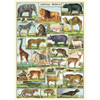 Animal World Cavallini Posters