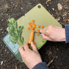 Foldable Chopping Board