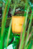 Candle - Milk Jar Candle Co.