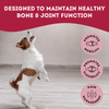 Help, My Joints Are Stiff - Supplements for Dogs