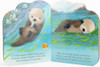 Little Otter