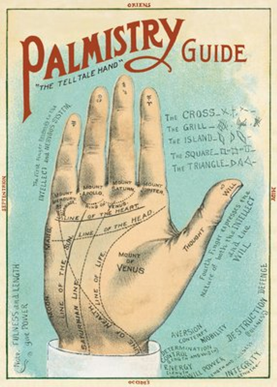 Palmistry Guide Cavallini Poster Spruce Collective