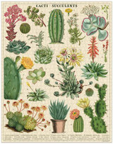 Cacti & Succulents Puzzle