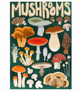 Mushroom Forager Puzzle
