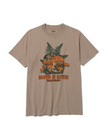 Rooted In Nature Ferns Tee