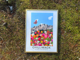 Print 12 x16 - Holly Mitchell Studio
