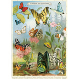 Butterflies 4 Poster