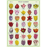 Tulip Garden Poster