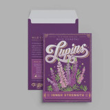 Seed Packets - Assorted