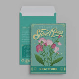 Seed Packets - Assorted