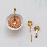 5"L Stainless Steel Shell Shaped Spoon