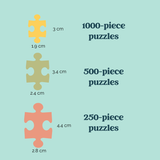 Lake Day Puzzle