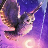 Little Owl