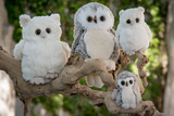 The Great Hoohoo