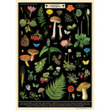 Field Guide to Foraging Poster
