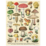 Mushroom Mini Puzzle 240 pc