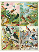 World of Birds Puzzle