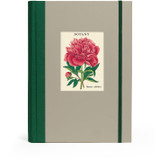 Botanica Window Journal
