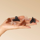Mini Arched Clips 6pc - Pink, Mocha, Black