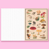 Collage Compendium