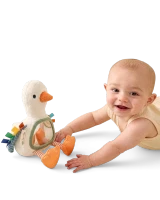 Itzy Bitzy Mirror - Goose