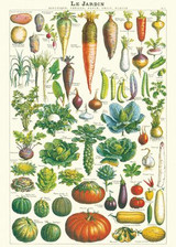 Le Jardin Cavallini Posters