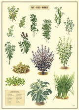 Aux Fine Herbs Cavallini Poster