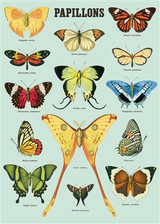 Papillons Poster