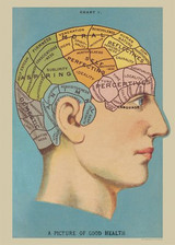 Phrenology Cavallini Poster