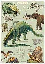 Dinosaurs Poster