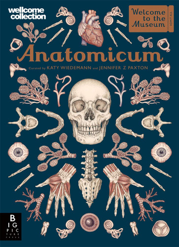 Anatomicum