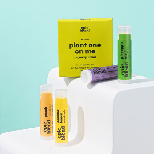 Plant One On Me Kit 4 Pack