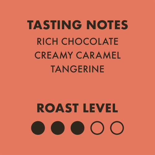 Show Pony Espresso Blend 340g