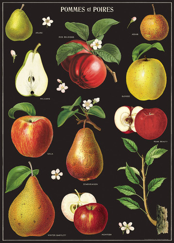 Apples & Pears Cavallini Poster